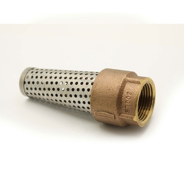 1 Inch FIP Brass Foot Valve